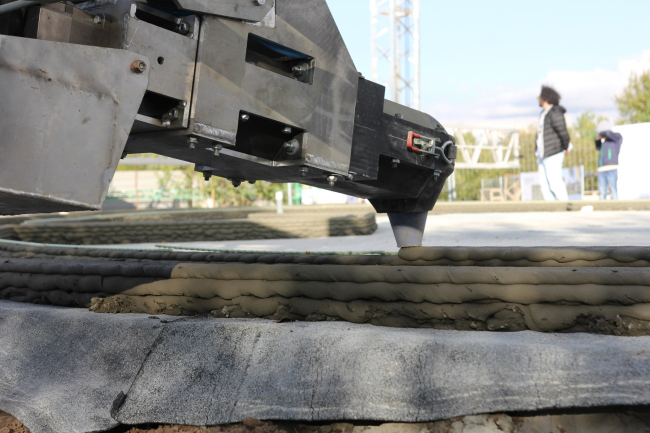 ������������� ������ ����� Wonderdom � �������� ���� ����