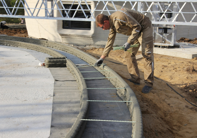 ������ ������ ���� �� �������� RVS. ������������� ������ ����� Wonderdom � �������� ���� ����