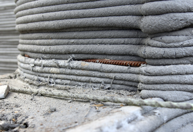 �������� �������� � ������ ����. ������������� ������ ����� Wonderdom � �������� ���� ����