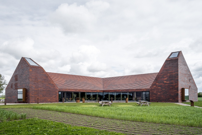 ���� �����