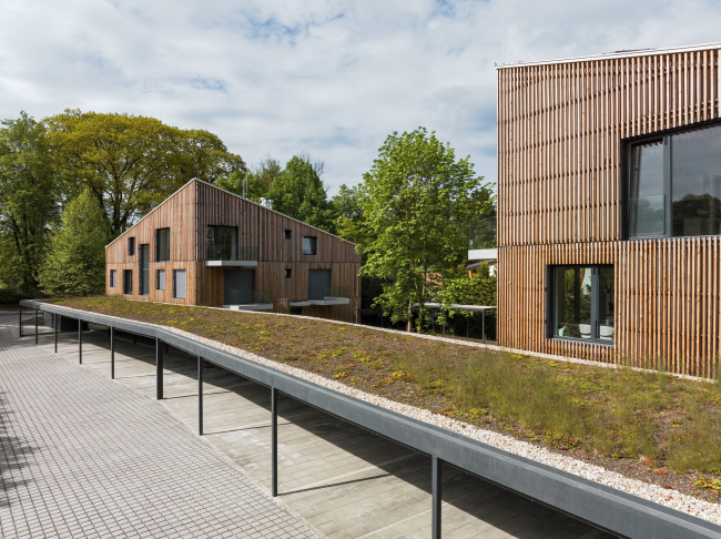 ��� ����� ���� � ��������