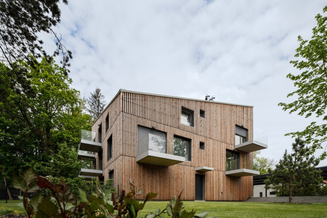 ��� ����� ���� � ��������