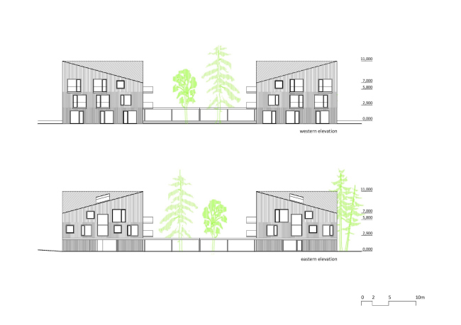 ��� ����� ���� � ��������