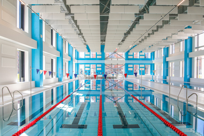 ��������������� ��������. ������ ����������� ���������� ��������������� �������� ����������� � ����������� ����������� �����