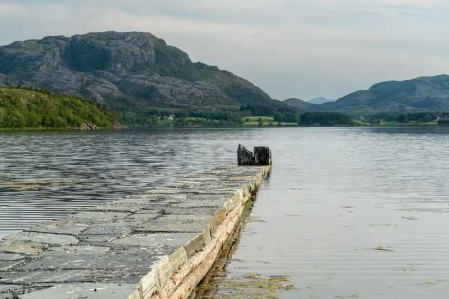 ���� ������ �� ����� ����������