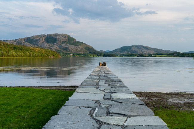 ���� ������ �� ����� ����������