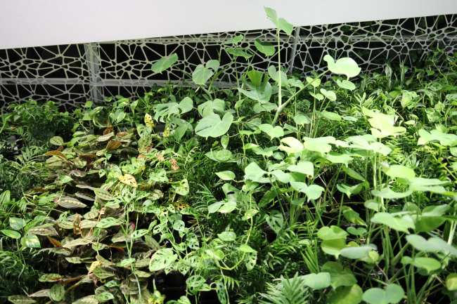 ��������� �������� � ����������. ��������� ��� � ������� ���������� � ������ ���, 09.2023