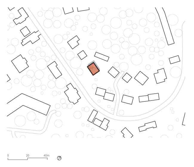 ������������� ������ ���� � �������