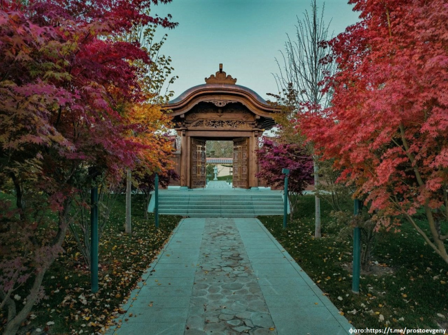 ������������� �������� ��������� � ����������