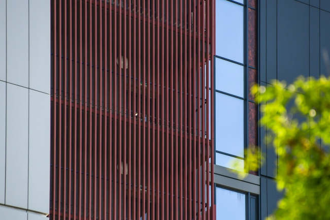 �� Elements, �. �����������. ���������� �� �� �������� 