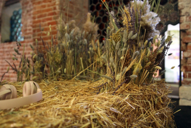 �������� ��������� ����� 2023: ��-�������� �����������