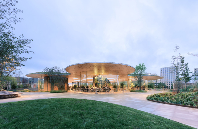 �����-����