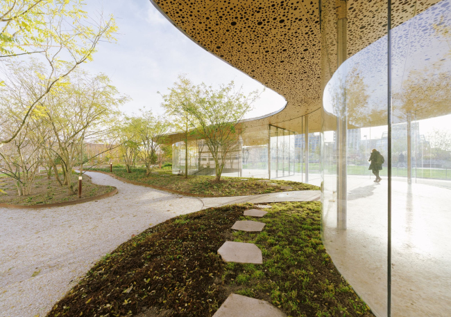 �����-����