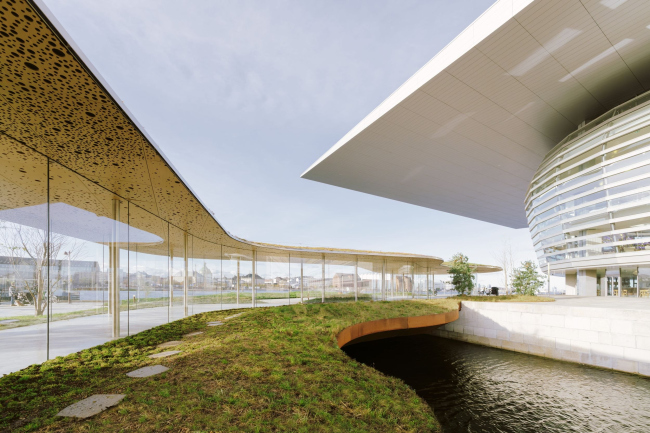 �����-����