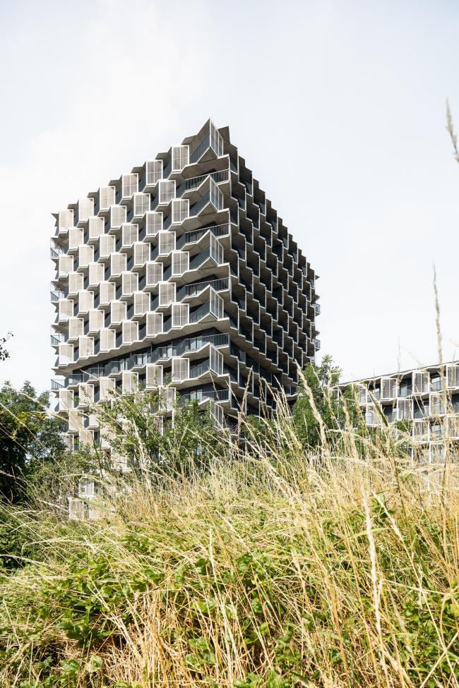 ����� �������� Guthaus