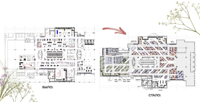 ������������� ��� ��� � ���������� ��������