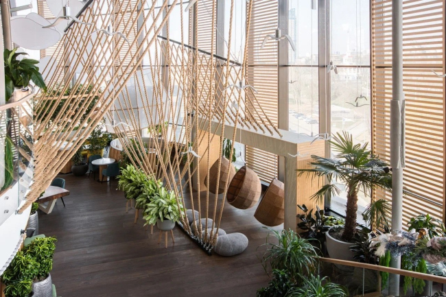 ������� ���� ORGANZA � ����� ������� ����� � ����������