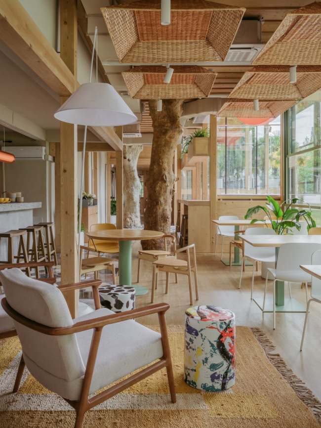 ���� ������