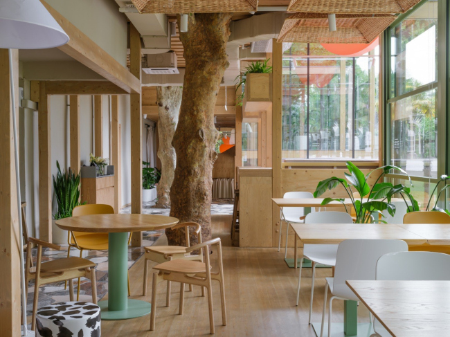 ���� ������