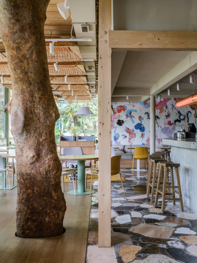 ���� ������