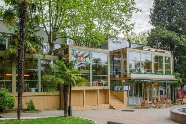 ���� ������