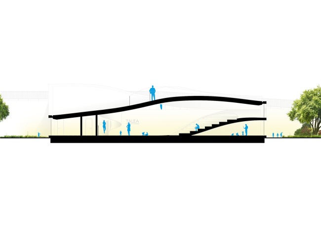 �������� ����� TALEA