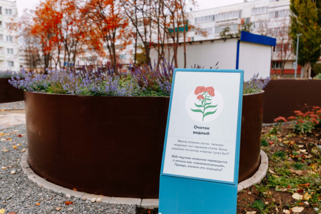 ������ �������: �������� ���������� ������, �. �������, ���������� ������������