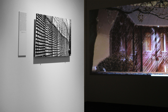 �������� ���������� ������������. �� ����� �� ������������. ���, �������� �����, 06.02.2024 � 26.05.2024