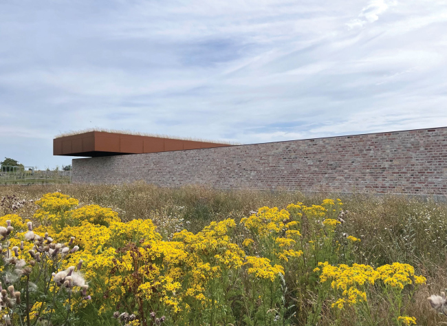 ������������ ����� Hage