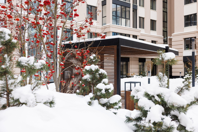 �� ���������������� ���