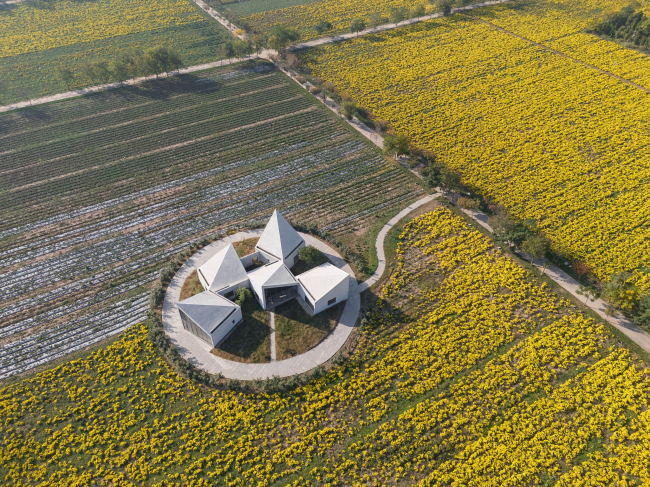 ���������� �� ���� ������� ���������