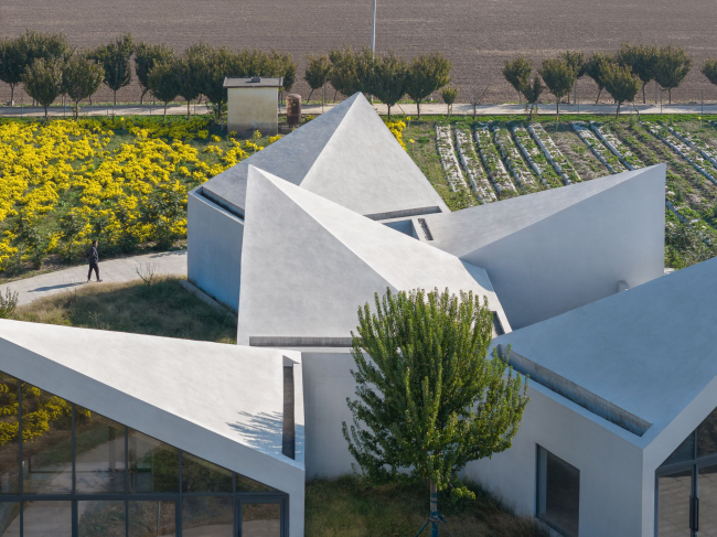 ���������� �� ���� ������� ���������