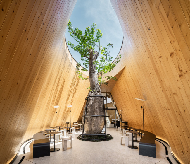 ������� Harudot By Nana Coffee Roasters