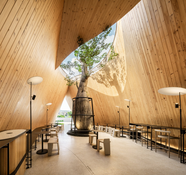 ������� Harudot By Nana Coffee Roasters