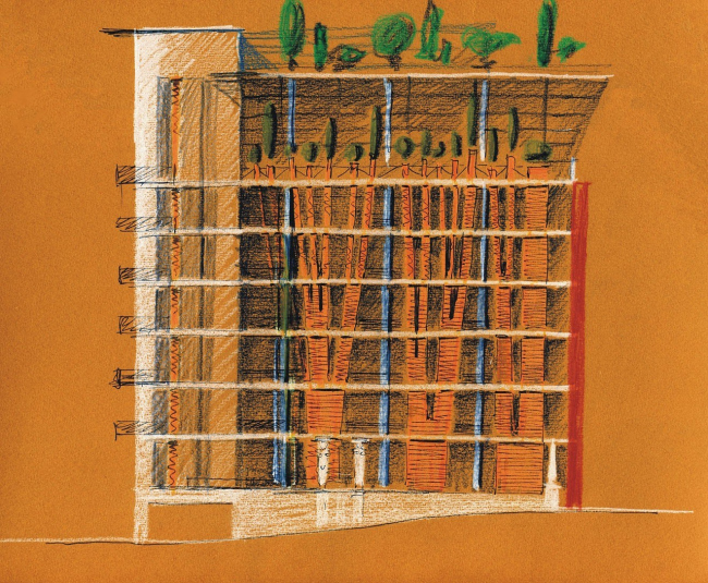 ��� � �������� ��������. �����