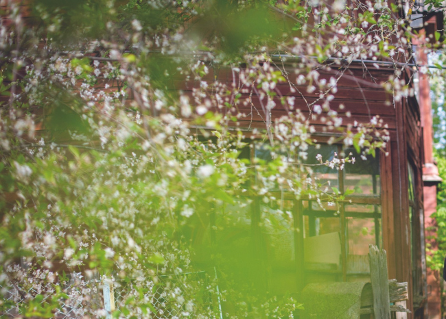 �������� ������������. �������� ����