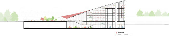 �����������-������������ ���� �������