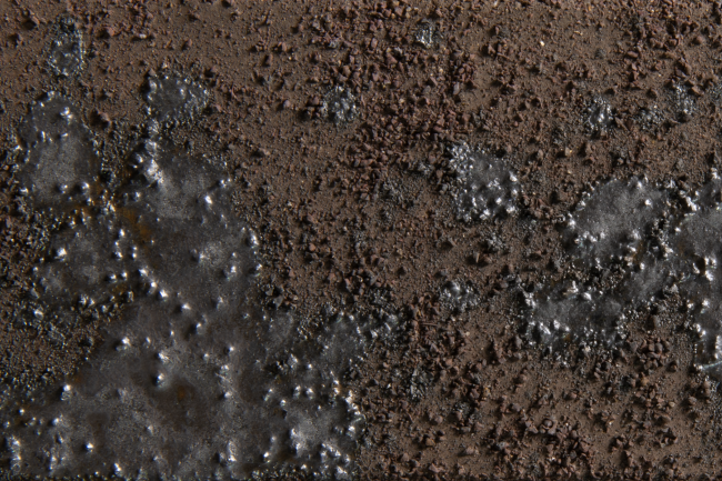 ������������ ������ PRO 78.09