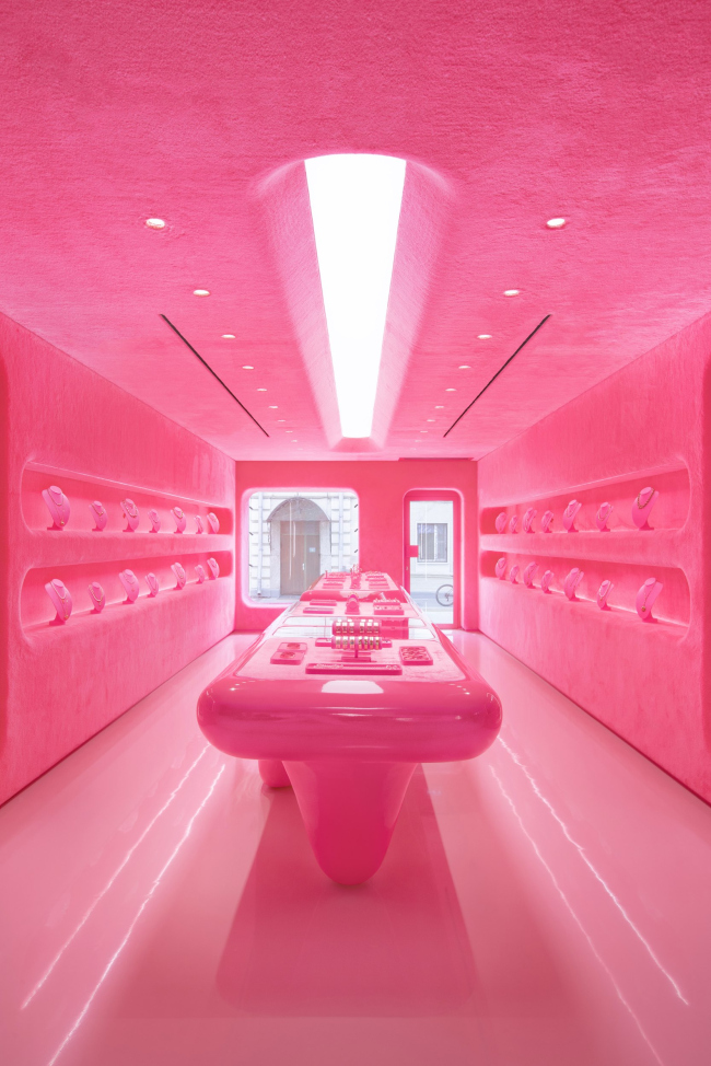 ������� ��������� �Viva la Vika�