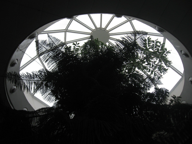 ������ �������� �� ���������� �����