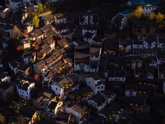 ������������� ������� ������� � �����