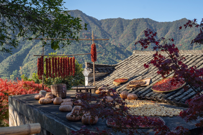 ������������� ������� ������� � �����