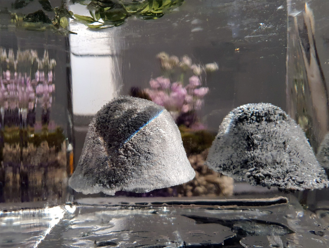 �������� ������������ 1.0� � ����� A-House