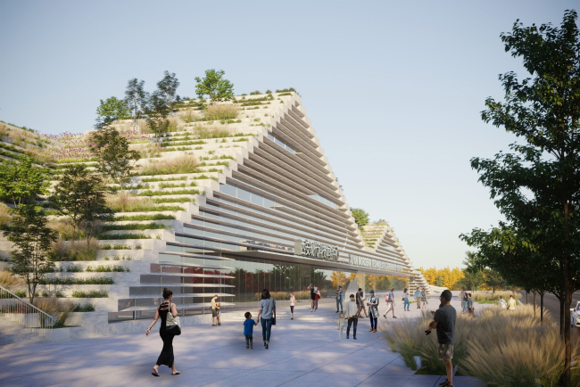 ���������������� ����� ����������� ����������