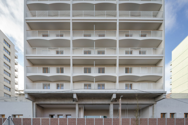 ��� ����� ������� � ����������� �������-2024