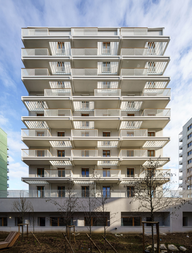 ��� ����� ������� � ����������� �������-2024