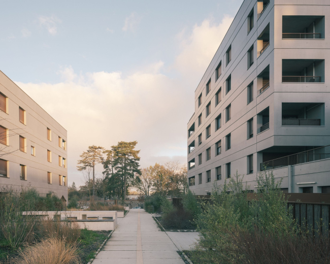 ����� �������� �������� � ����