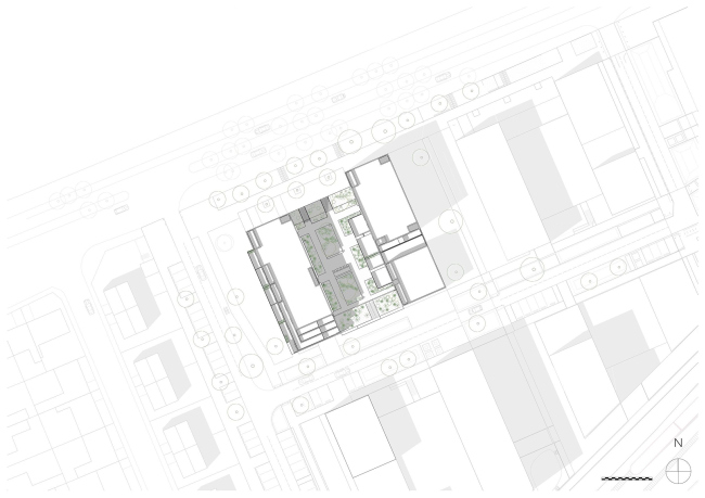 ����� �������� �������� � ����