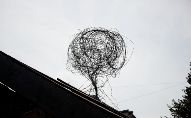 �� ����� ������ �����, ������ ��������� . ��������� �������� ��������� �����, 2022 ��������������, ����� ���������� (������ ��������).