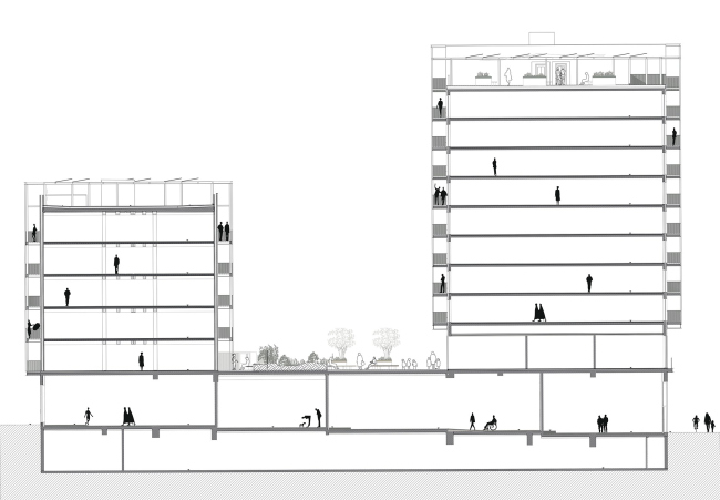 ��� ����� ������� � ������� E ����������� �������-2024 ��� �������